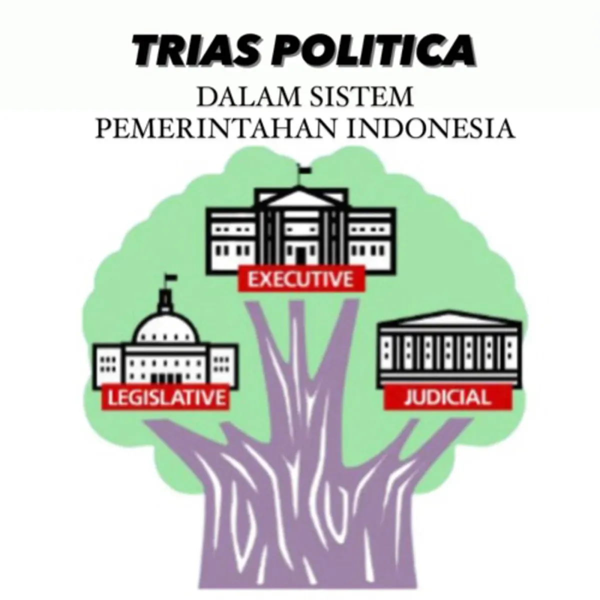 Trias Politica di Era Prabowo-Gibran: Tiga Cabang, Satu Gravitasi